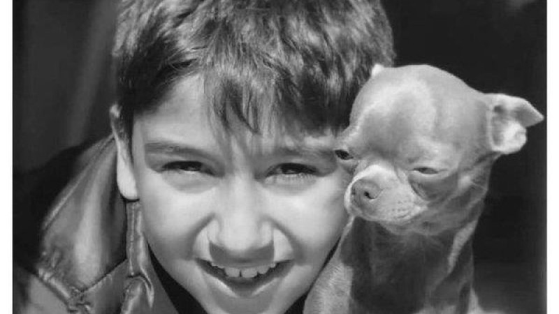 CHP’li Bozbay’ın çarptığı 11 yaşındaki Sıraç hayatını kaybetti